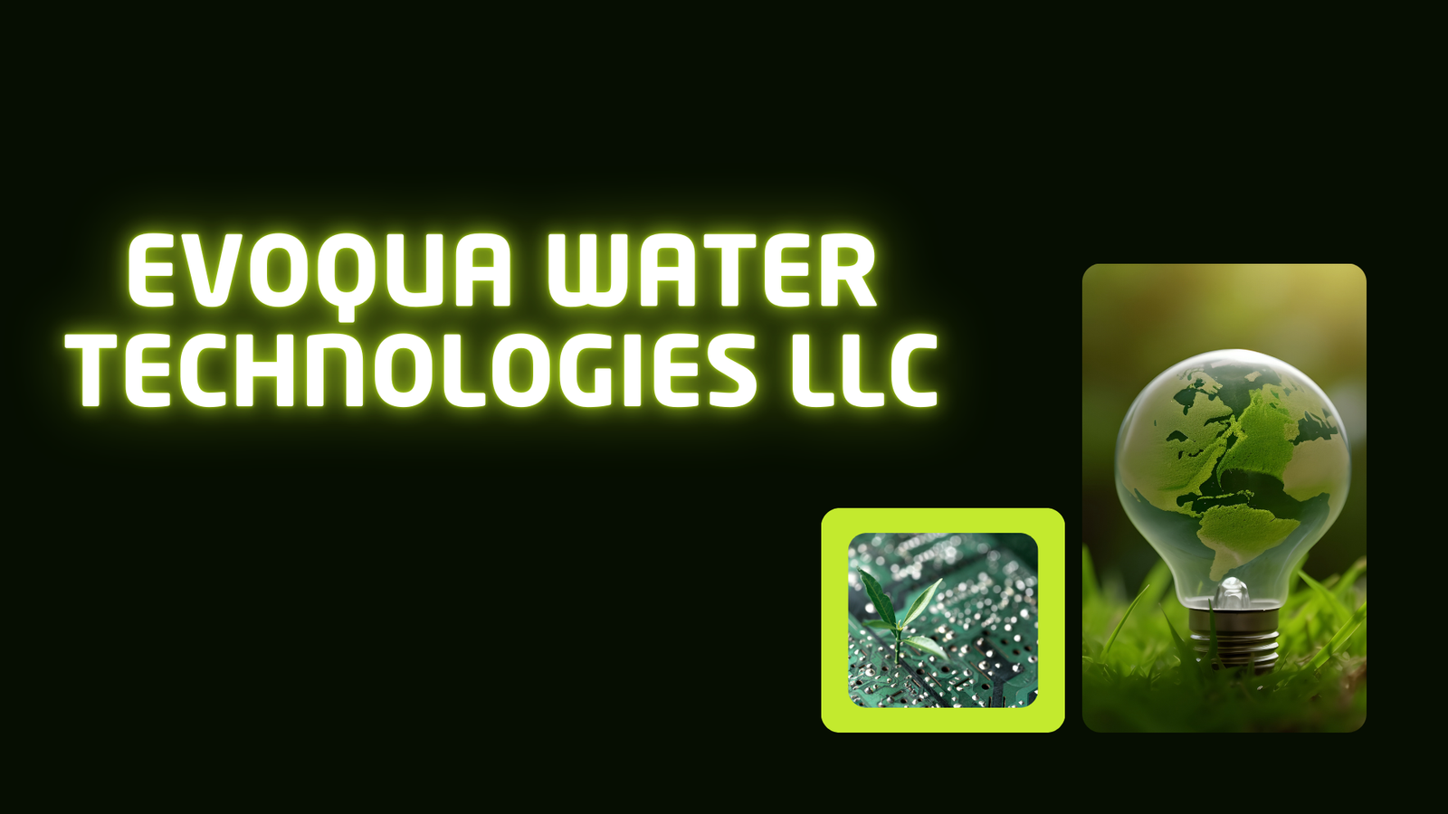 Evoqua Water Technologies LLC