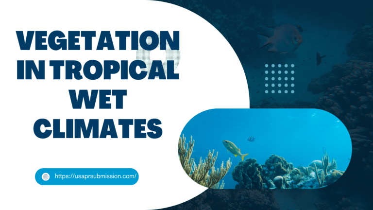 Vegetation in Tropical Wet Climates
