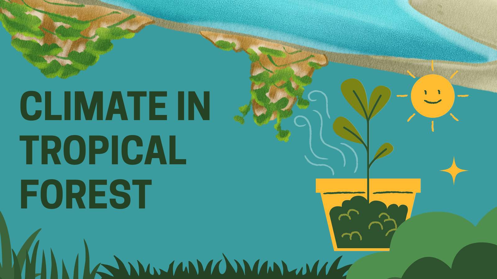 Climate in Tropical Forest