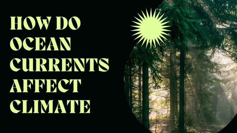 How Do Ocean Currents Affect Climate