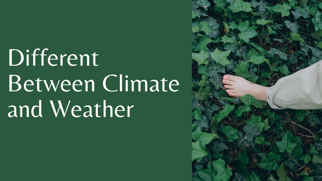 Different Between Climate and Weather