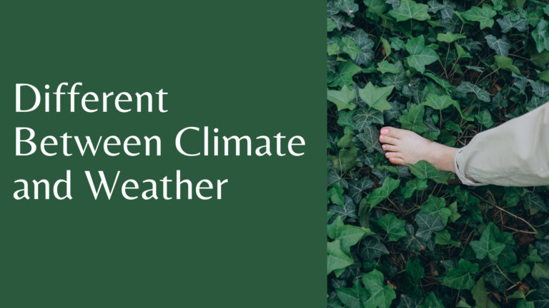 Different Between Climate and Weather