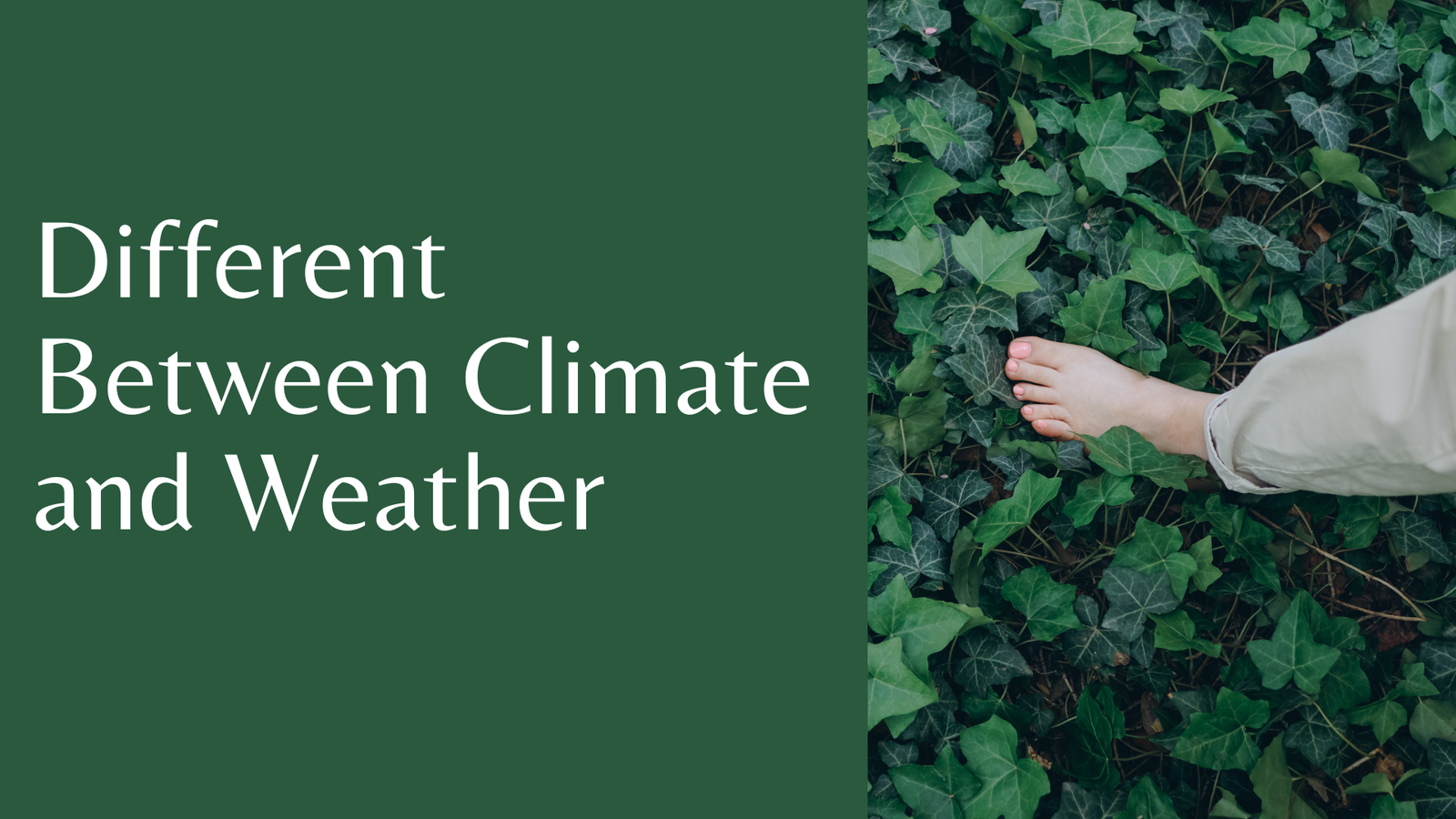 Different Between Climate and Weather